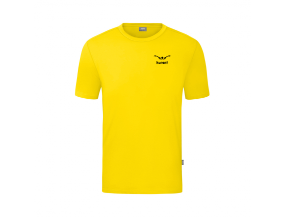 Moška kratka majica Organic - PAK